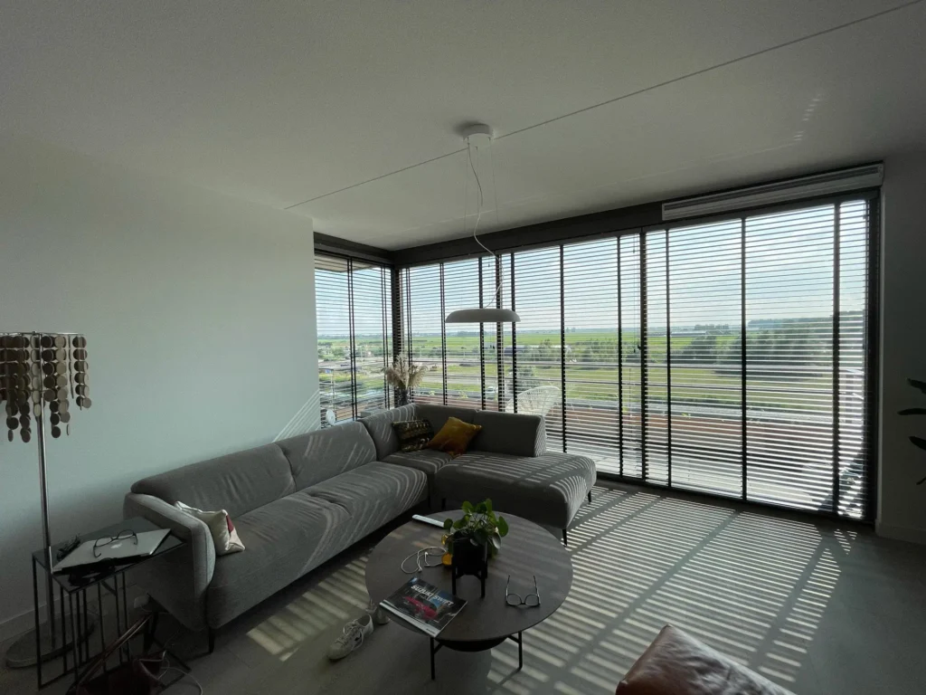 Living room in Alphen aan den Rijn with Renovlies and latex finish for a sleek and modern look.